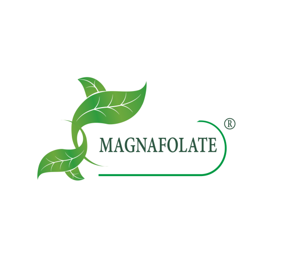 Magnafolate® дегеніміз не? Фолий қышқылы VS фолий қышқылы, айырмашылығы неде?