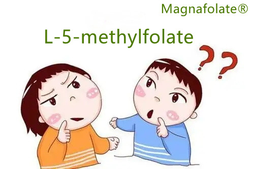 L-метилфолат VS фолий қышқылы