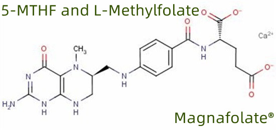 5-MTHF және L-метилфолат