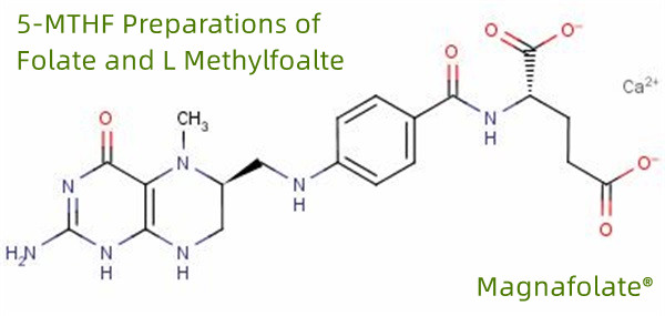 5-MTHF фолий қышқылы және L метилфоальт препараттары