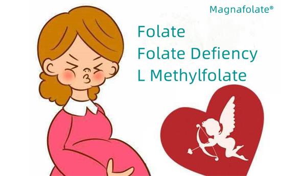 Фолий қышқылы мен фолий қышқылының жетіспеушілігі