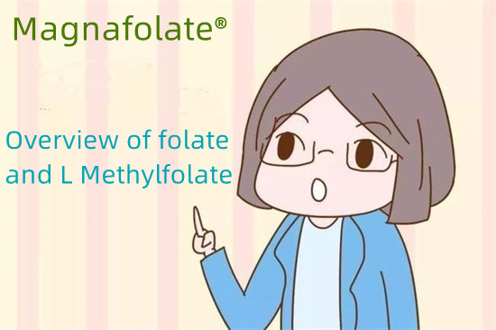 Фолий мен L метилфолатқа шолу