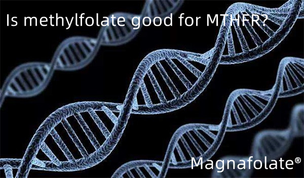 Метилфолат MTHFR үшін жақсы ма?