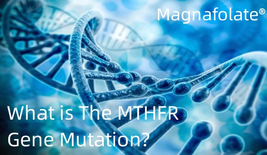 MTHFR гендік мутация дегеніміз не?