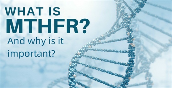 MTHFR дегеніміз не және ол неге маңызды