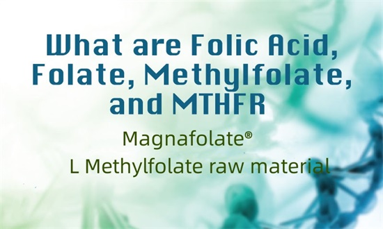 Фолий қышқылы, фолий қышқылы, метилфолат және MTHFR дегеніміз не?