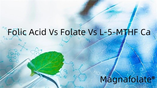 Фолий қышқылы Vs фолий қышқылы Vs L-5-MTHF Ca