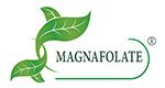 Магнафолат® VS фолий қышқылы