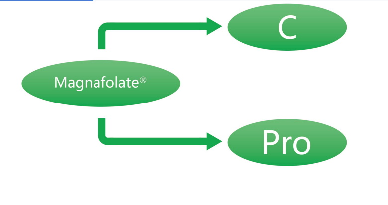 Magnafolate C және Pro-L-метилфолат кальций