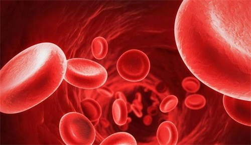 Фолий қышқылының метаболизмінің бұзылуы, біз не істеуіміз керек