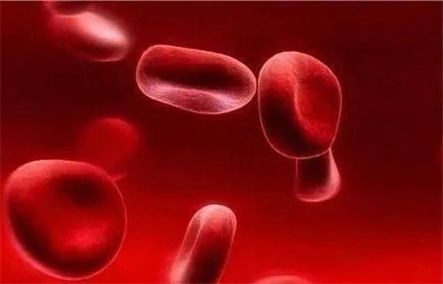 Неліктен фолий тапшылығы иммундық жүйенің проблемаларын тудырады
